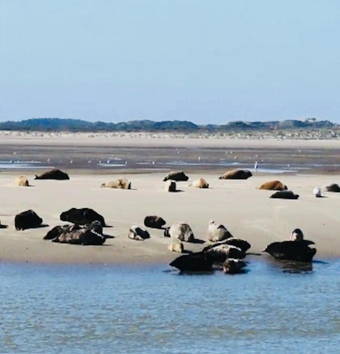 Le Chant De La Riviere Abbeville Exterior foto